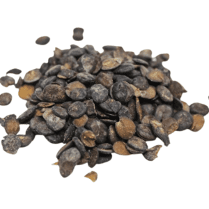 FRESH LOCUST BEANS - IRU | 16OZ